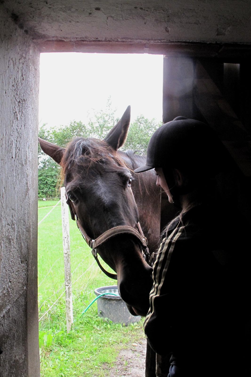 Anden særlig race Krogagers Unnie billede 17
