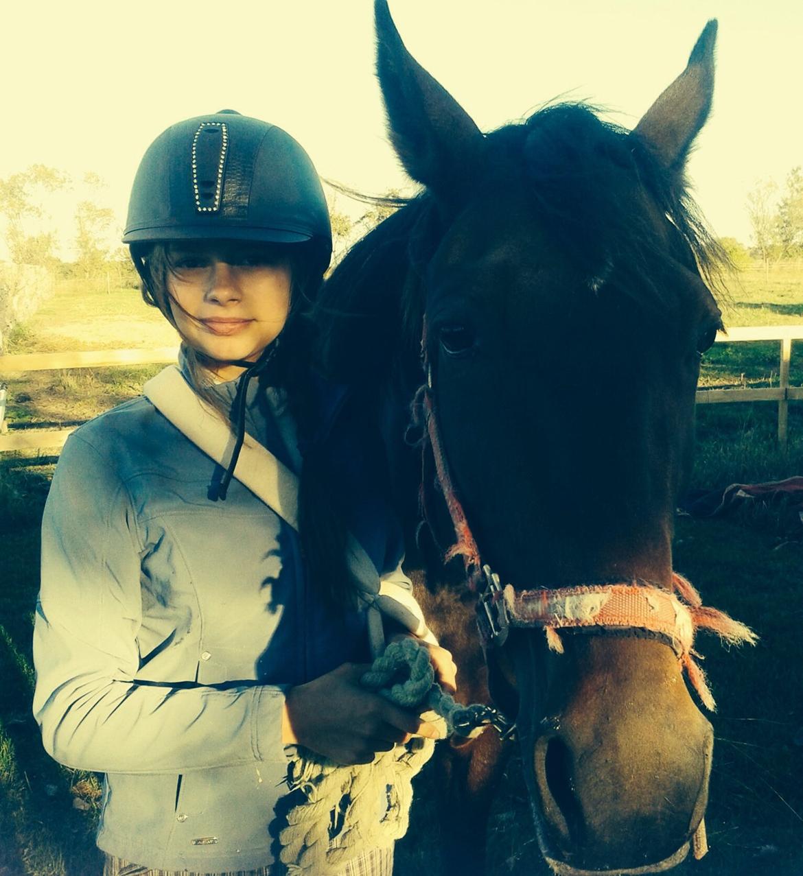 Traver Maja simoni billede 4