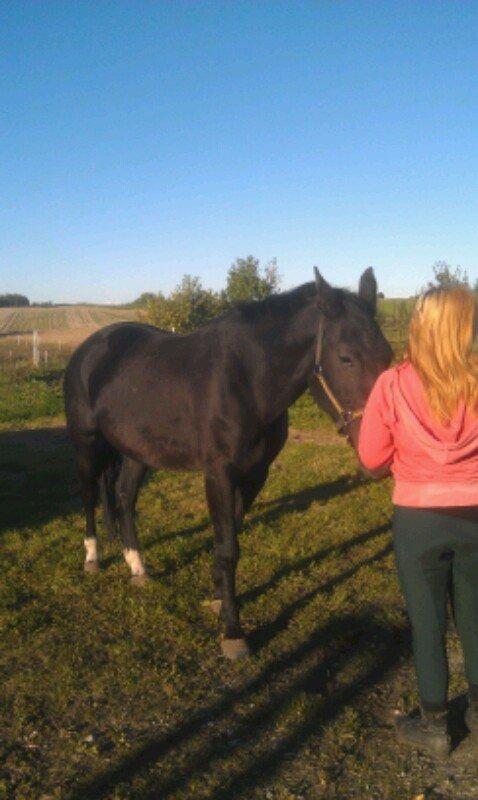 Oldenborg Kornett af Rugbjerggård - jeg elsker dig kornett <3 billede 10