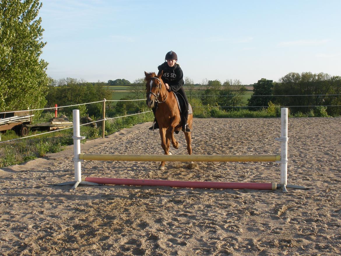 Sportsaraber (A) †Oliver† billede 31