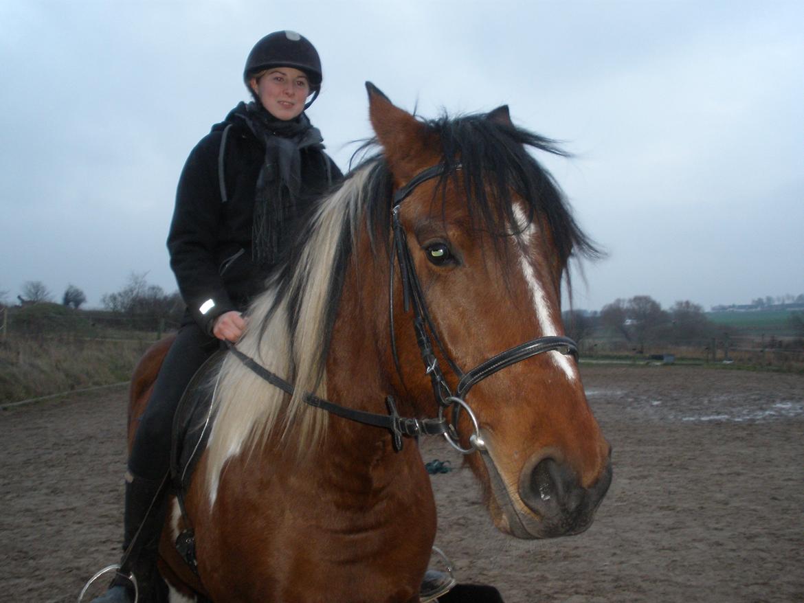 Pinto Argo billede 47