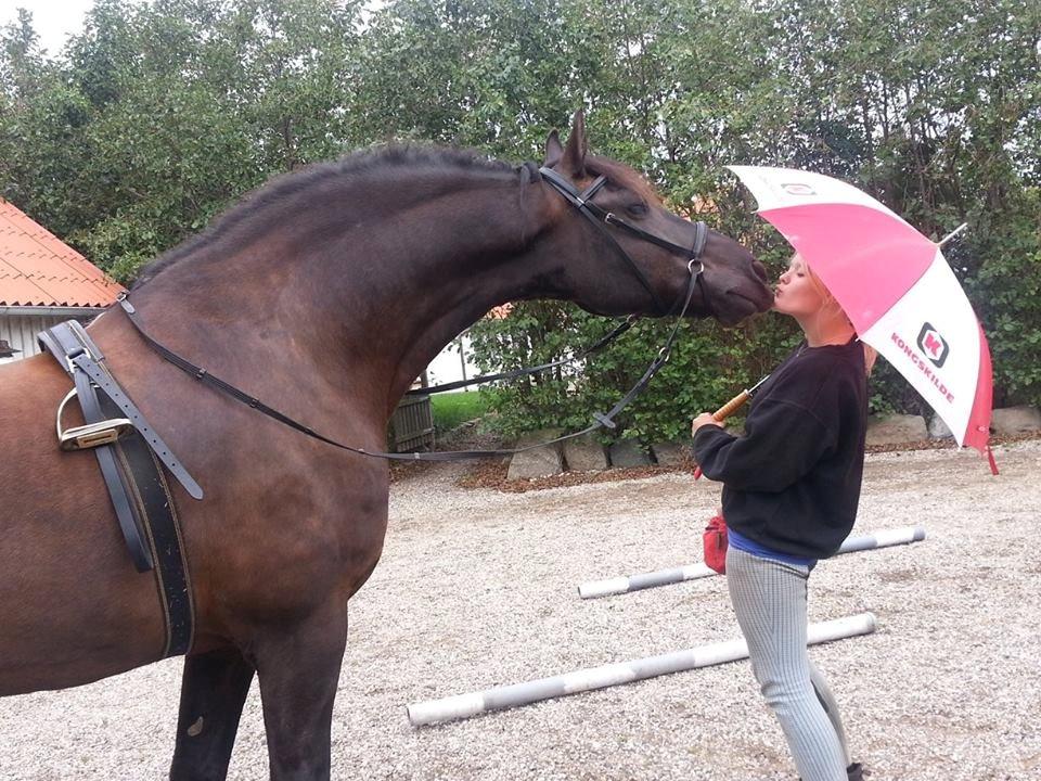 Frieser Branco af Stasevang - Et kys under paraplyen<3 billede 16