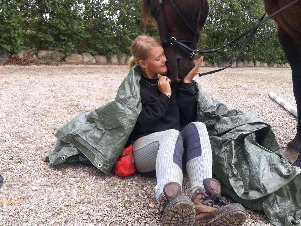 Frieser Branco af Stasevang - Du da det sødeste! billede 15