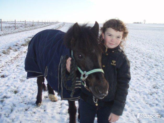 Anden særlig race Mille - Verdens bedste pony<3 billede 15