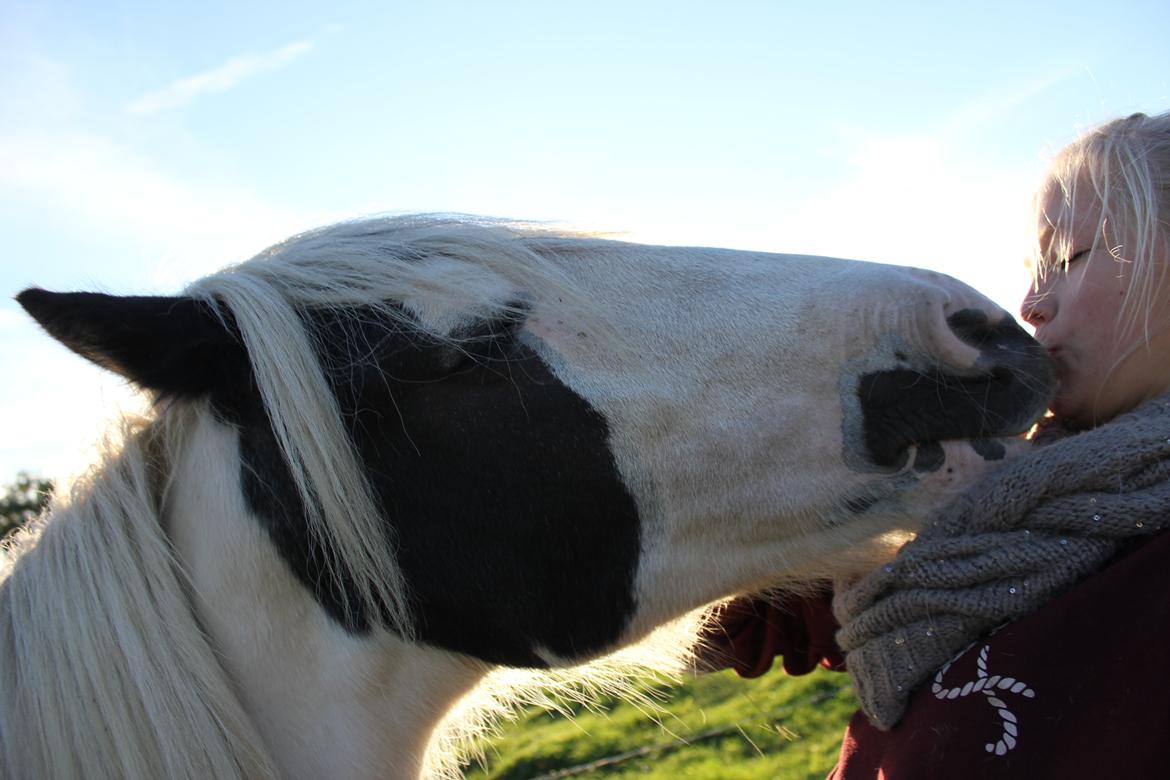 Tinker Malu - Sommer 2013. Babyen har lært at kysse <3 billede 13
