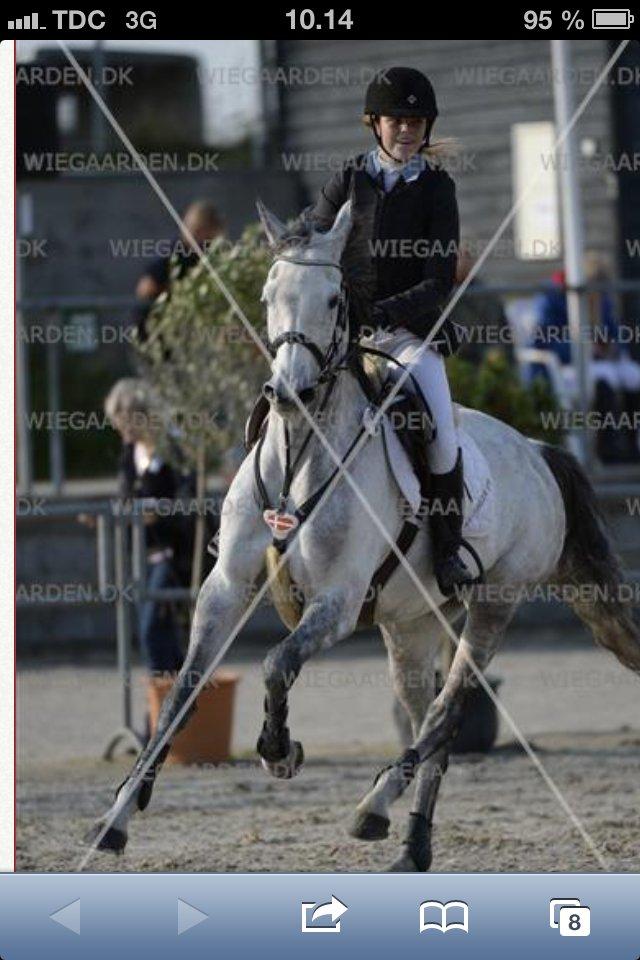 Holstener TIME 4 U - Landsstævne på Vilhelmsborg - 125  cm:-)
 billede 18