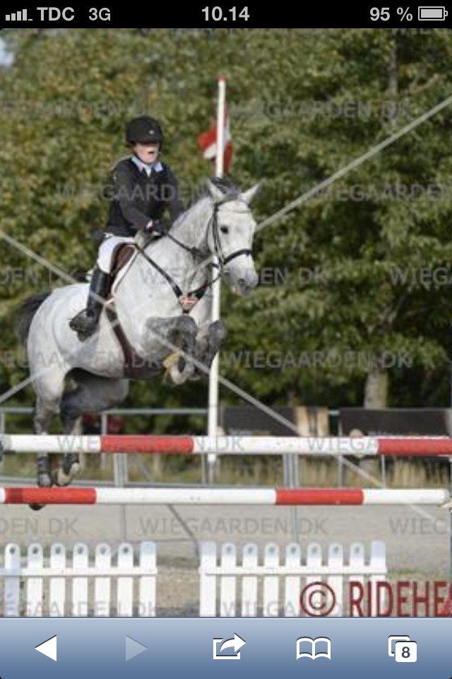 Holstener TIME 4 U - Landsstævne på Vilhelmsborg - 125 cm:-) billede 20