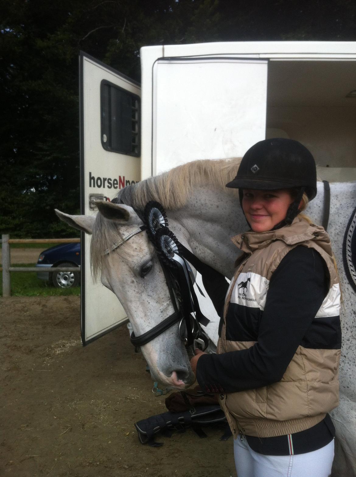 Dansk Varmblod LORETTA billede 21