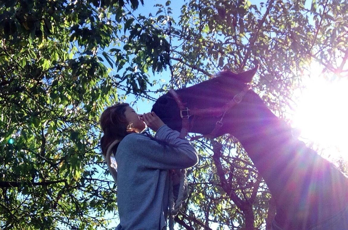 Traver Maja simoni billede 5