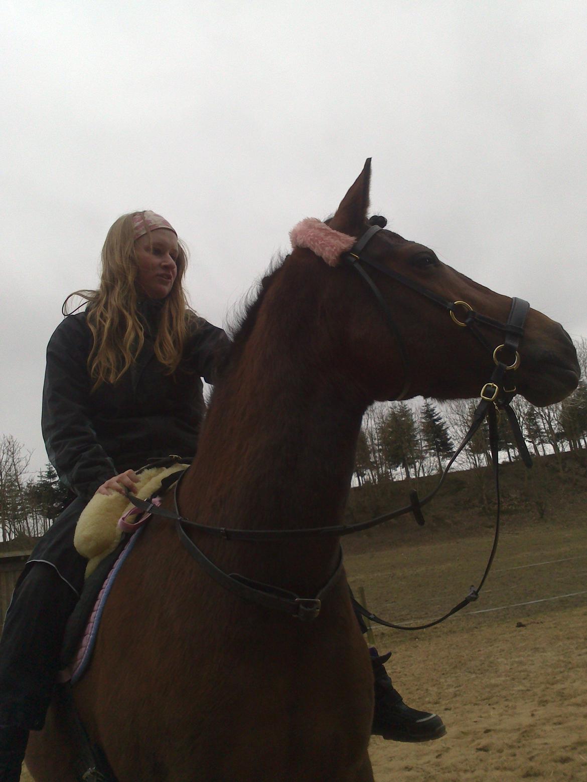 Anden særlig race Hylkegaardens Little Star (Lille Star) - Livet er som en bog. Hver dag, er en ny side.. billede 8