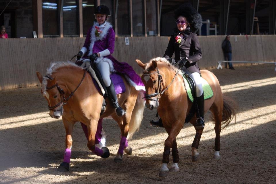 New Forest Kantje's Tommy - Par dressur i HIR! 87% vildt sjovt og selvfølgelig en 1. plads!:-D billede 12