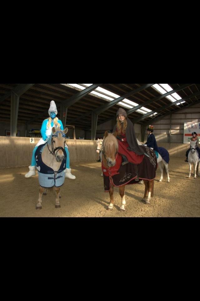 New Forest Kantje's Tommy - Fastelavn 2013.. Var krigerprinsesse :-P billede 11