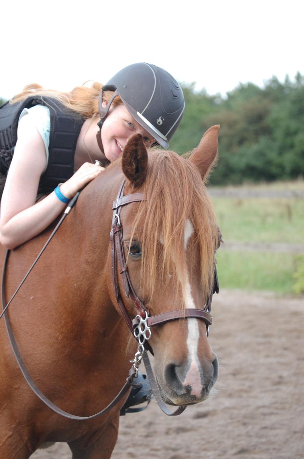 Anden særlig race Findus - Hygge efter en gang galop - Foto: Min mor billede 2