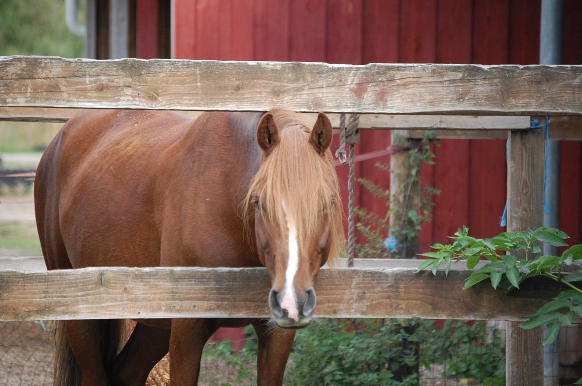 Anden særlig race Findus - Velkommen til Findus's profil - foto: Mig billede 1