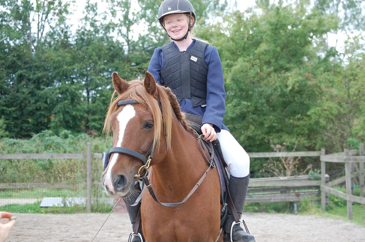 Anden særlig race Findus - Efter dressuren - Foto: Min mor billede 8