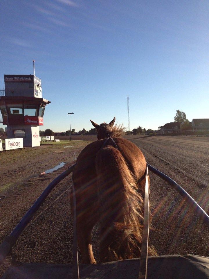 Traver Amazing Fireworks - En fornøjelse at side bag vognen en tidlig morgen <3 billede 3