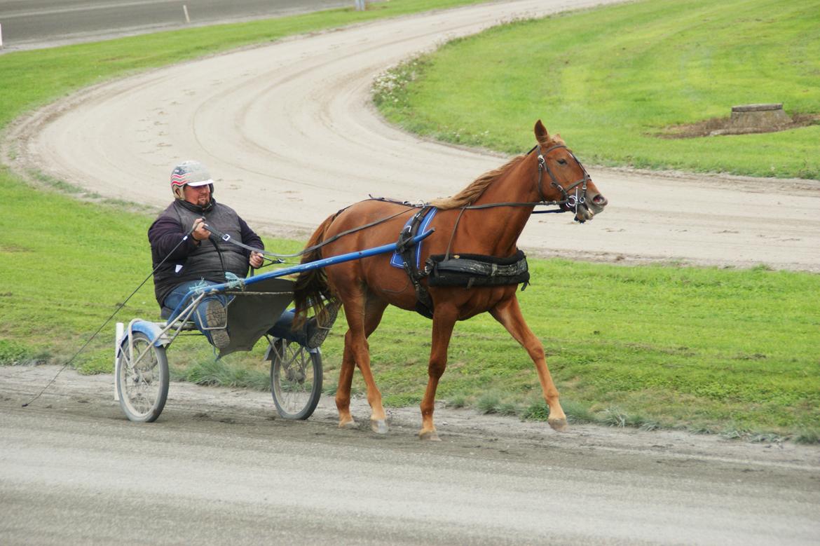 Traver Amazing Fireworks billede 10