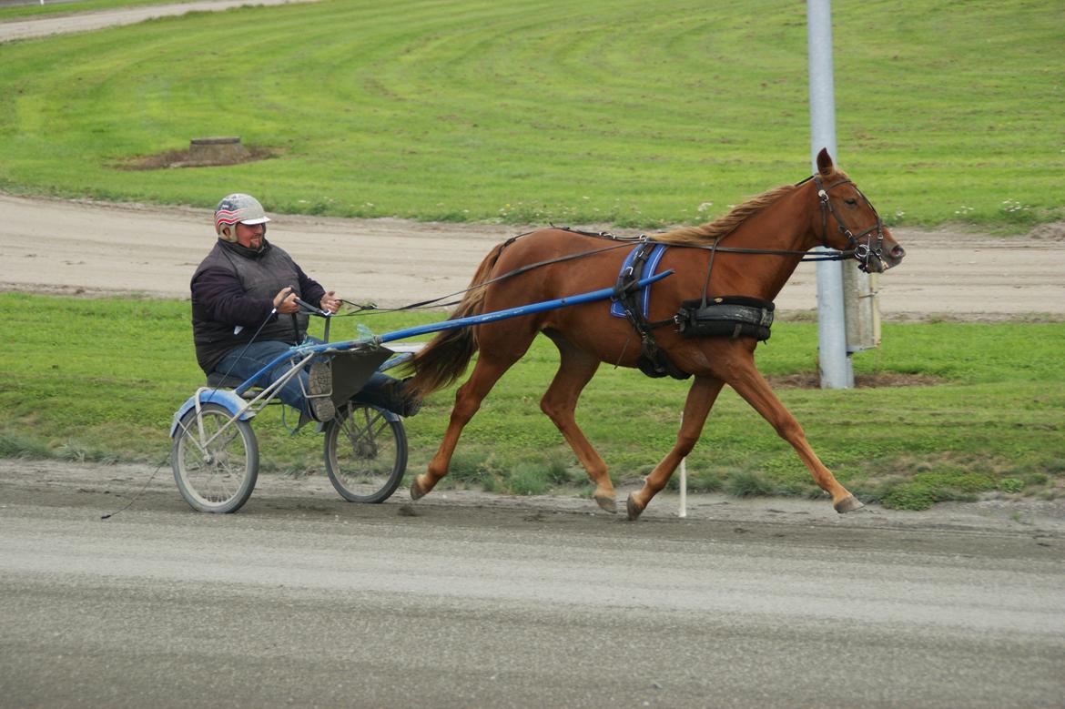 Traver Amazing Fireworks billede 15