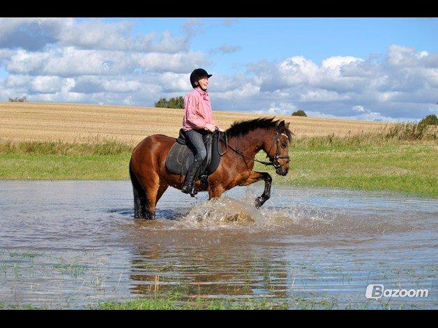 Anden særlig race Isabell  RIP  - den bedtse jeg har i mit liv <3 billede 16