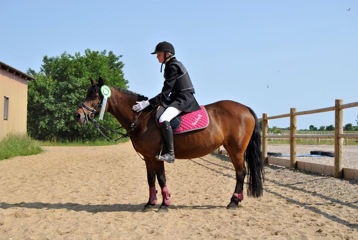 Anden særlig race Isabell  RIP  - 3 plads i spring sommer 2013 <3 :-* - vores sidste stævne sammen :/ billede 13