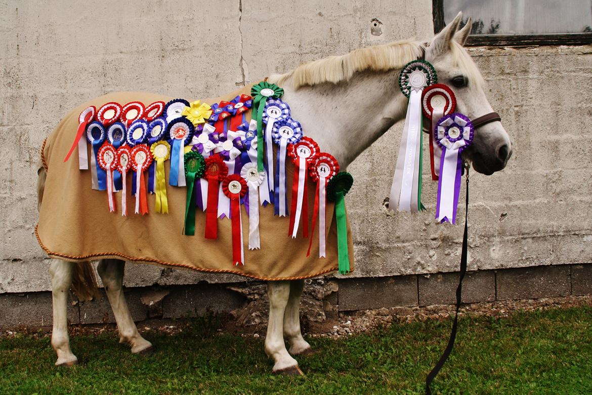 Anden særlig race Zoffi Games Pony <3 - 2006 - 2013  billede 4