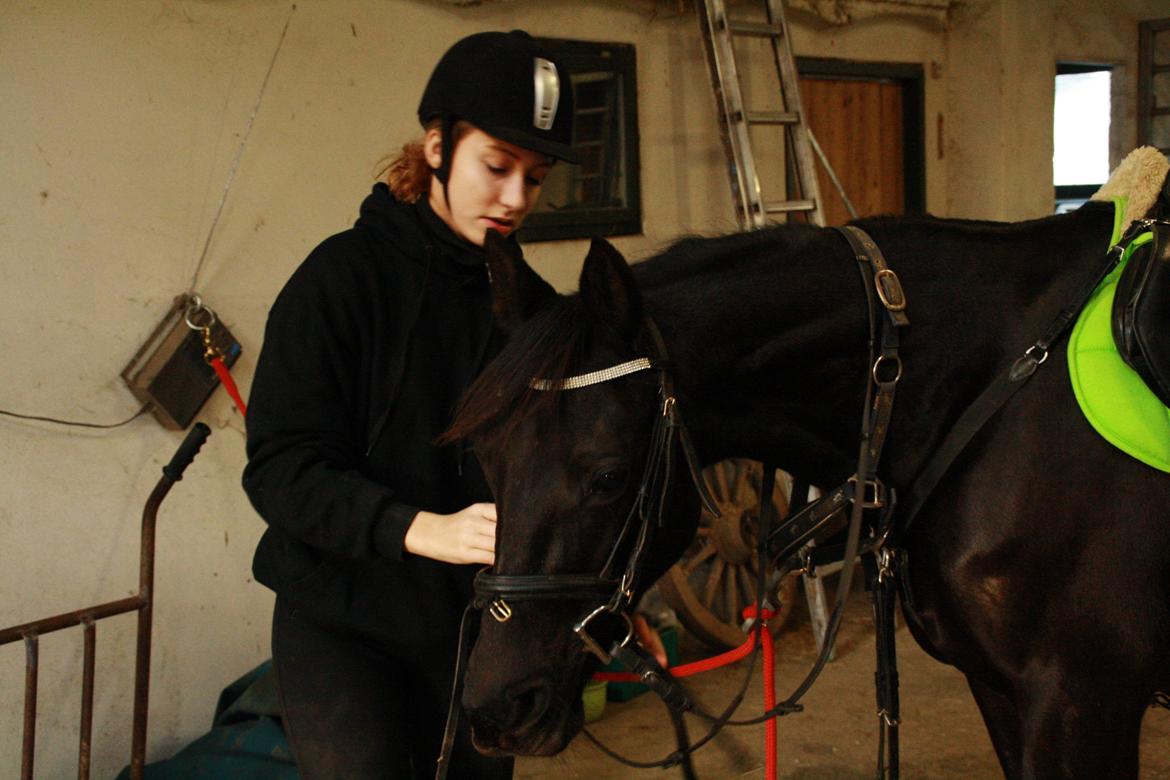 Anden særlig race Agerhøjgårds Avance billede 44