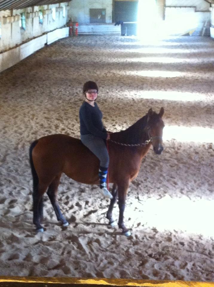 Hollandsk Sportspony Sherry [Tidl. Lånepony] billede 12