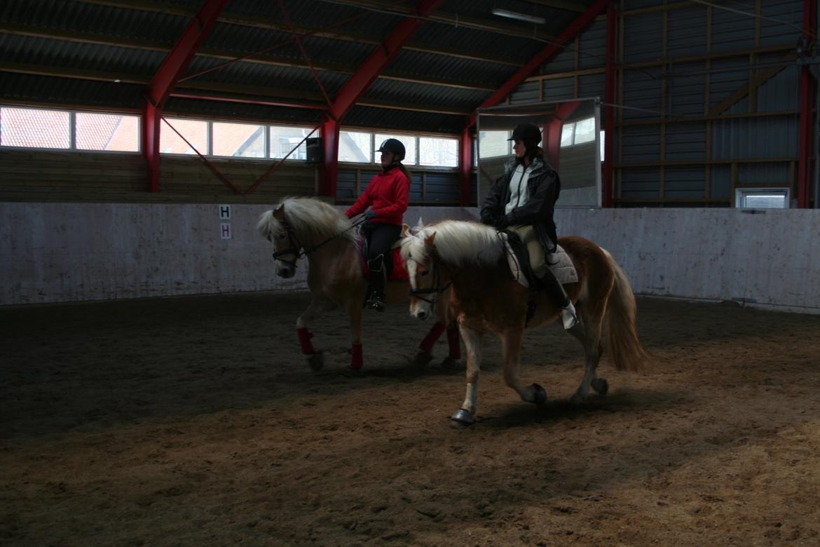 Haflinger Nikita - Haflingersport syds kvadrille træning vinteren 2012 Nikita og jeg med vores makkerpar billede 12