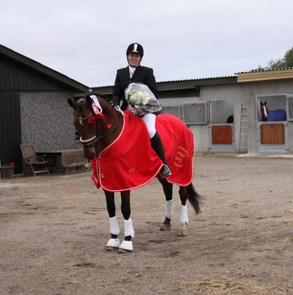 Hannoveraner Don Magic - Første stævne, hvor vi vandt klubmesterskabet billede 1