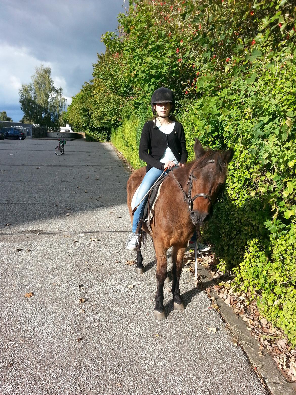 Anden særlig race Tinke (har redet) - Mig på Tinke  billede 1