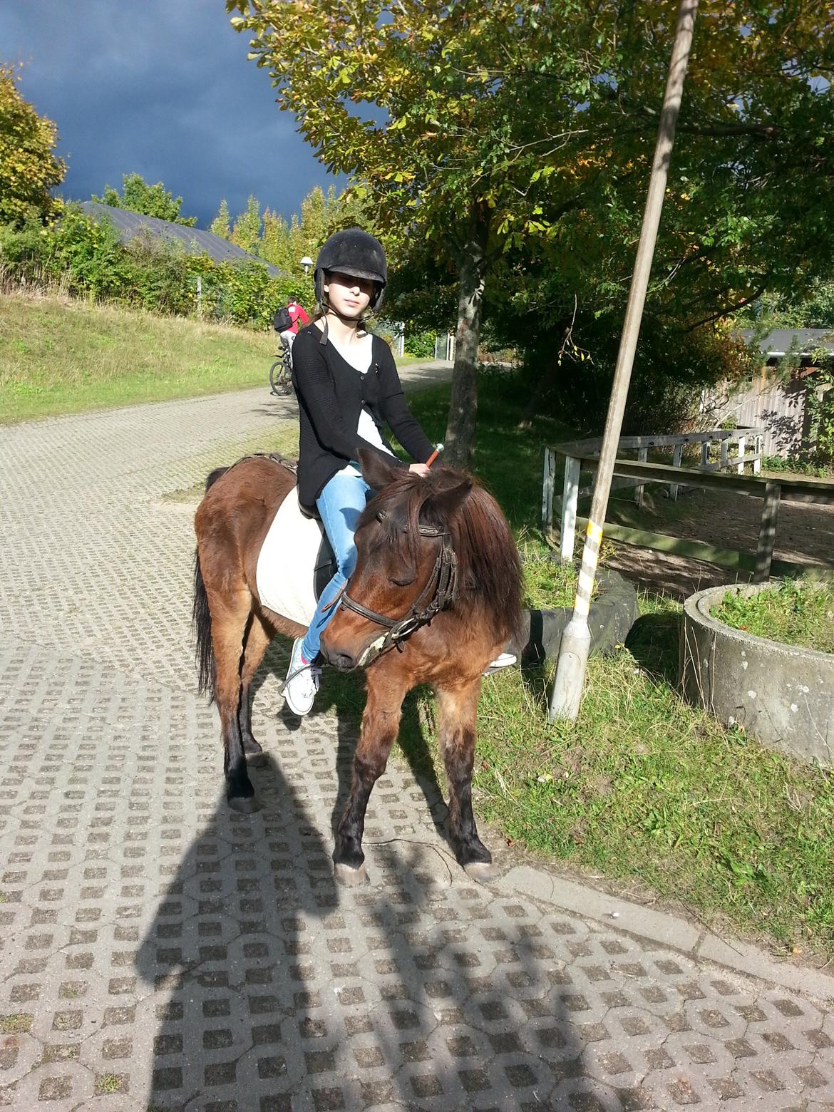 Anden særlig race Tinke (har redet) - Mig og Tinke på Næsten hjemme :) billede 3