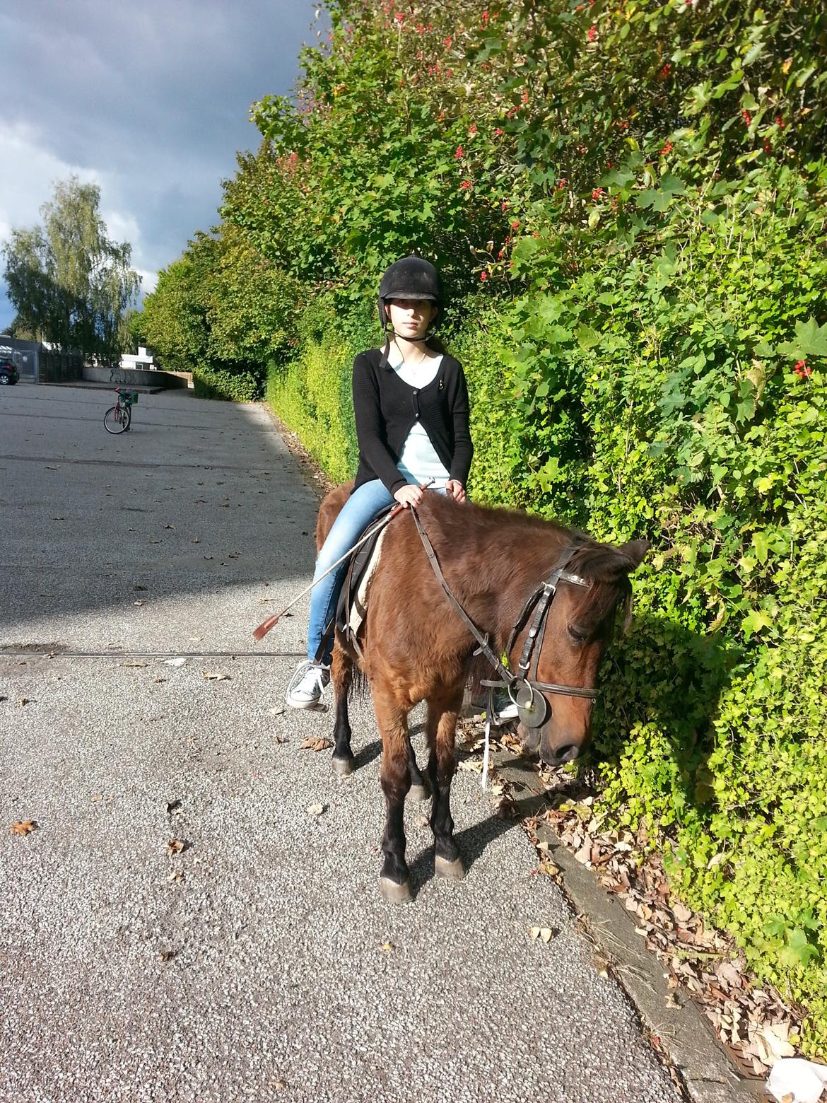 Anden særlig race Tinke (har redet) - Mig og Tinke på Tur:D billede 20