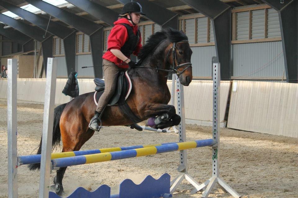 Anden særlig race Claggan Dare Lady - Vi springer lidt ;) Foråret 2013
 billede 12