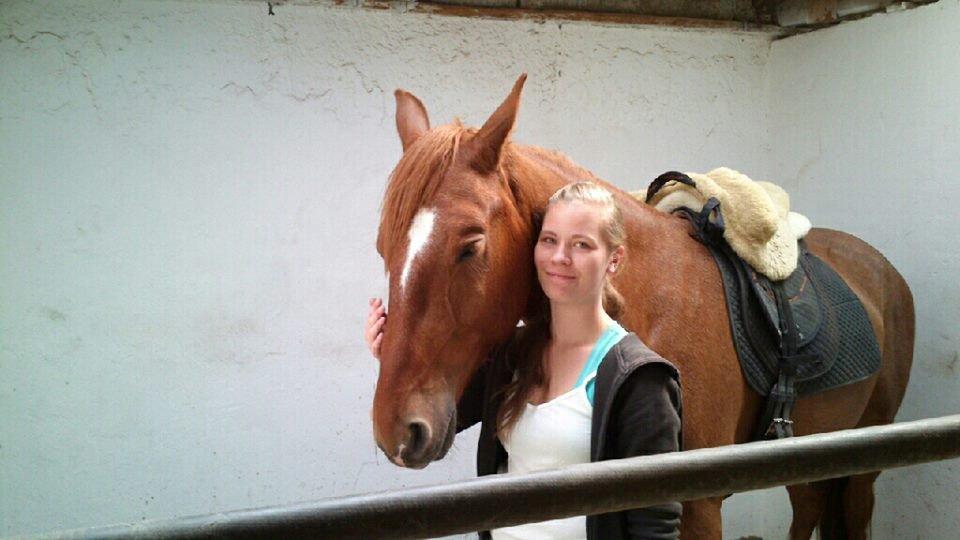 Frederiksborg Smakkerup's Tayson - Hygge før ridning! billede 2