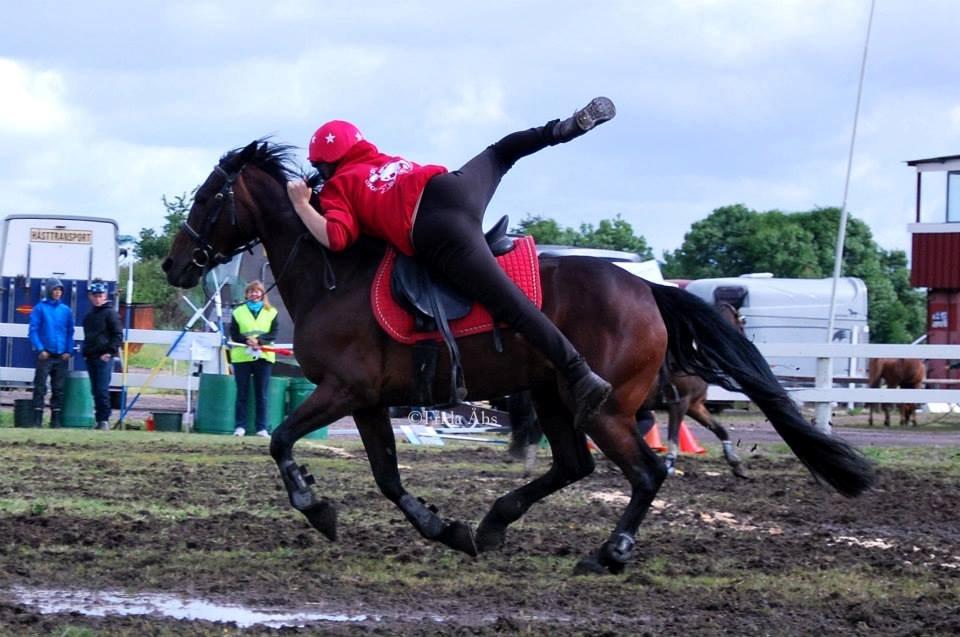 Anden særlig race Claggan Dare Lady - Ophop til Nissecup med Brutto landsholdet. billede 15