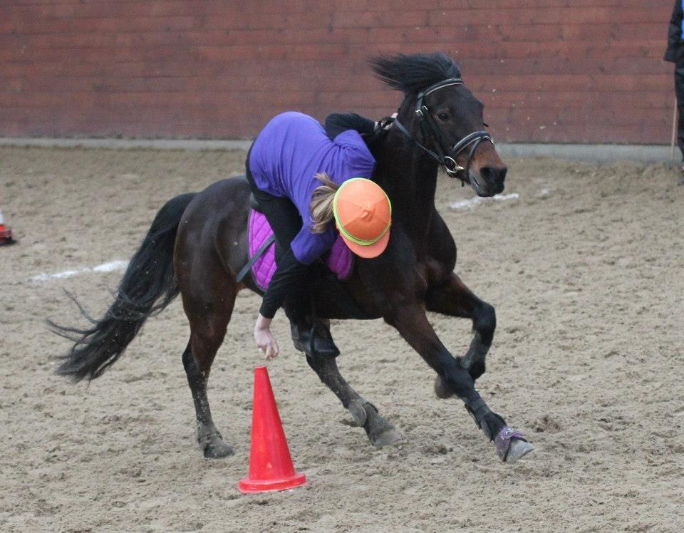Anden særlig race Claggan Dare Lady - Vinterpar med Matilde 2013
 billede 18