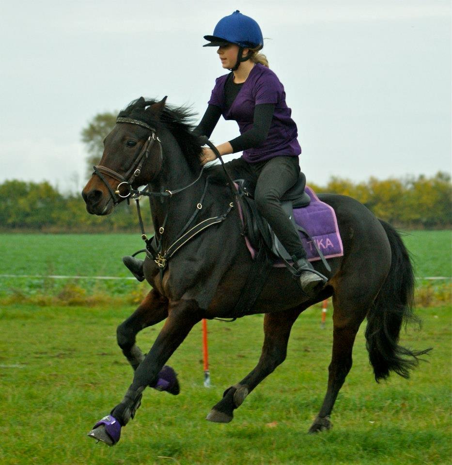 Anden særlig race Claggan Dare Lady - Leo cup 2012, første individuelle stævne <3
 billede 19