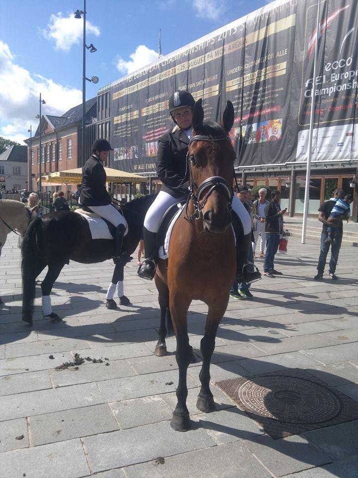 Anden særlig race Sibiriens Chestar billede 9