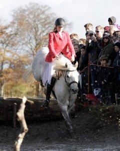 Connemara Springers Silver Morning - På vej ned i Magasindammen til Hubertusjagten 2012 :) billede 2