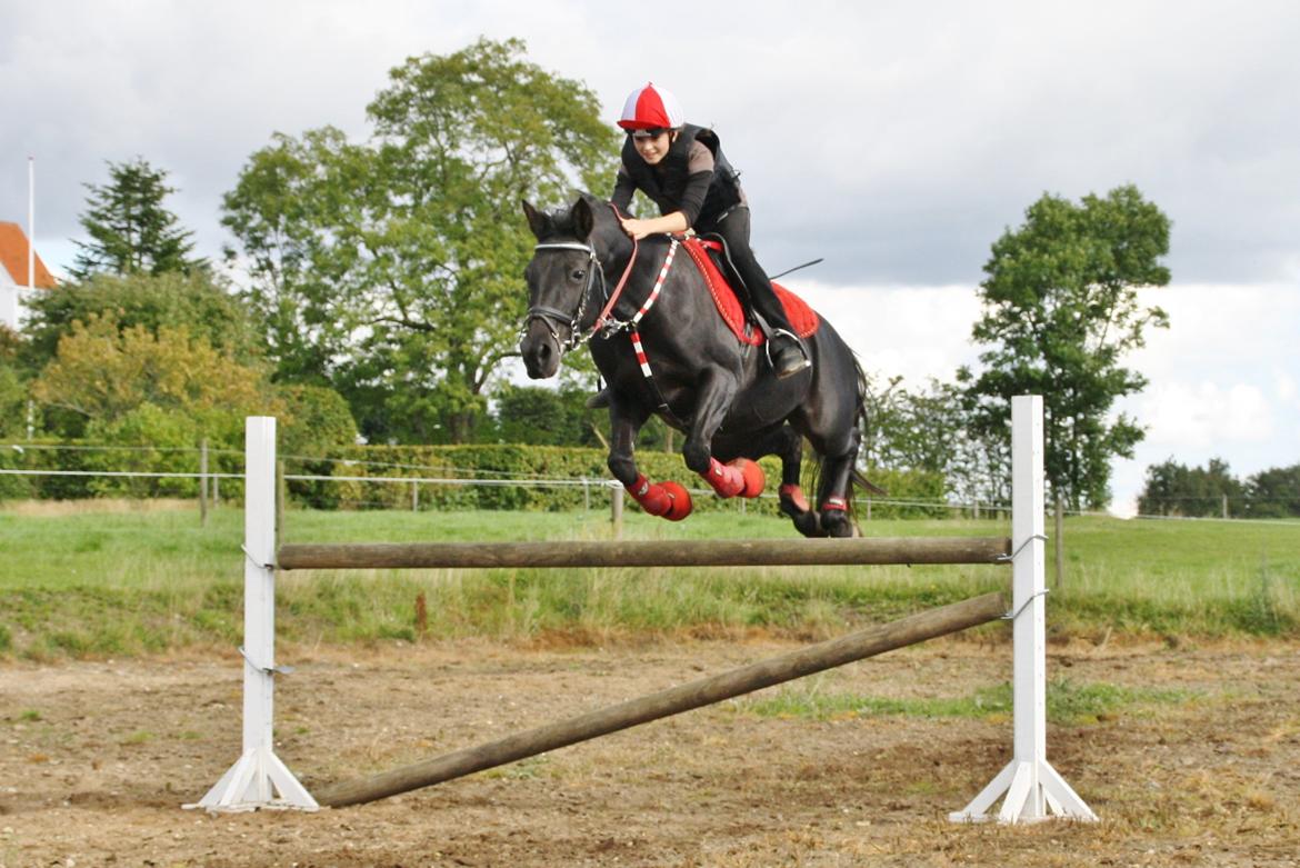 Anden særlig race Agerhøjgårds Avance - Flyvene <3 billede 2