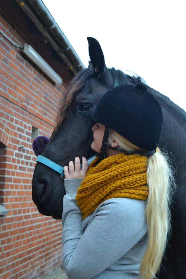 Frieser ~ Willov Terplinggaard ~ billede 13