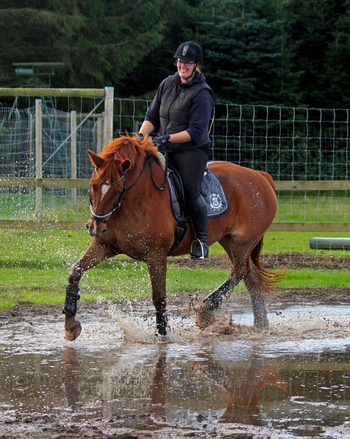 Anden særlig race Athene (SOLGT) - Træning på vores meget våde bane :D billede 6