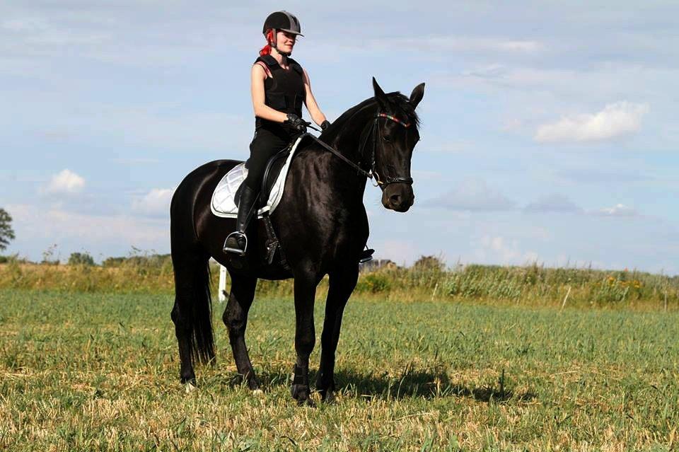 Oldenborg Skovlundegårds Dark Princess - Førte gang ude og ride på marken! Rigtig dejlig oplevelse med min smukke pige. 
Foto: Helle Nymann billede 8