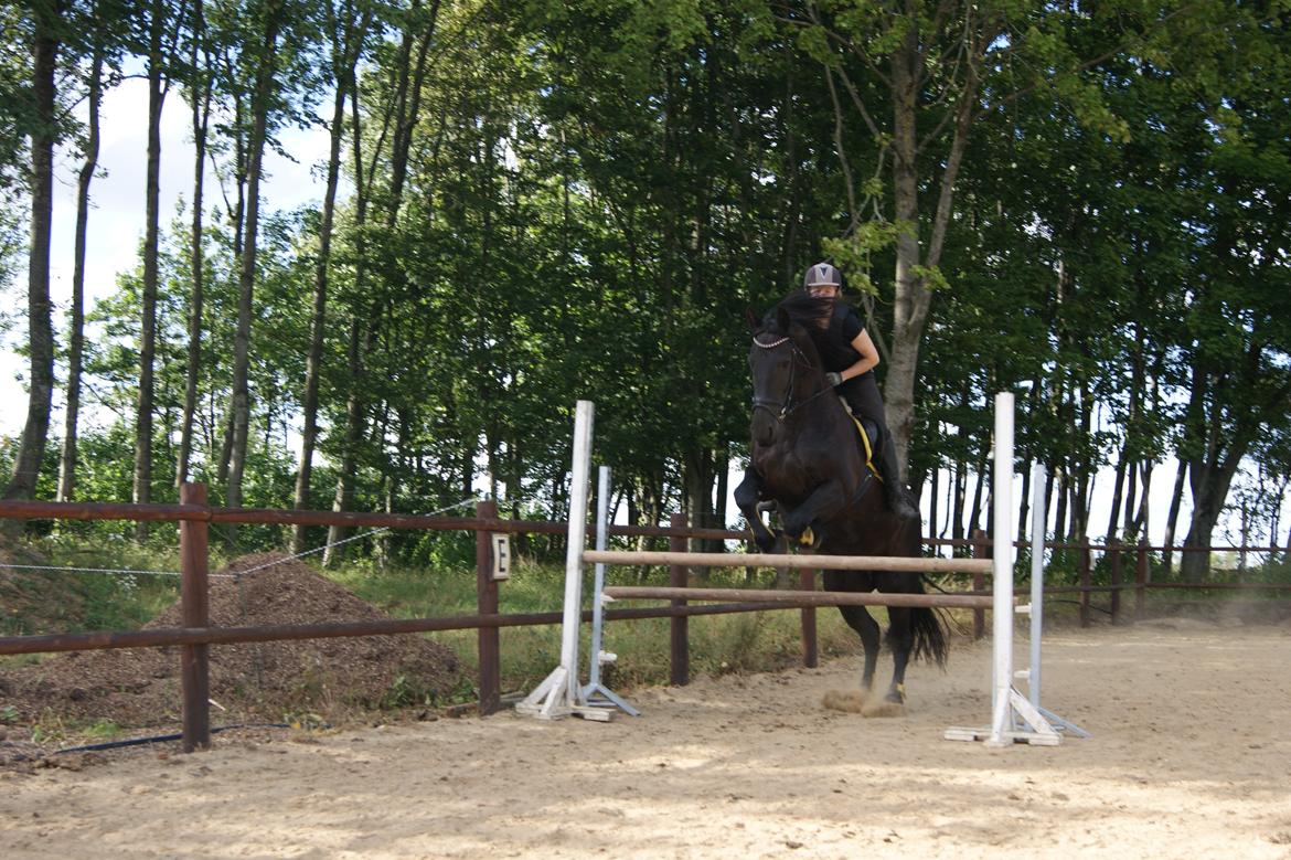 Frieser Roose - Jaja, Roose kan også hoppe. billede 4