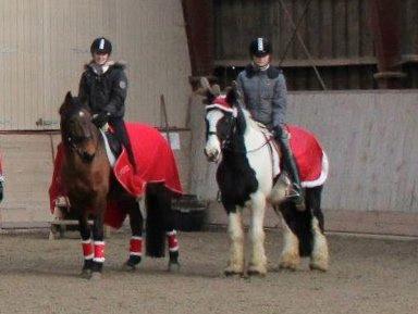 Anden særlig race Smilla - Juletur ;D billede 13