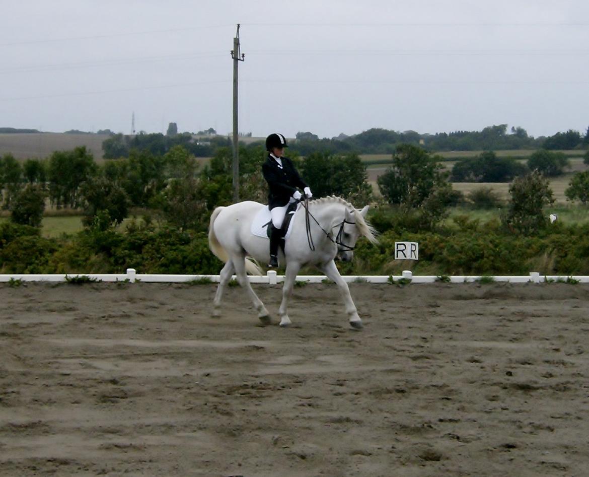 Connemara Columbus - Fremskridt! Du bliver bedre og bedre! =) billede 18