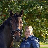 Westfaler NISGAARDS DIABLO