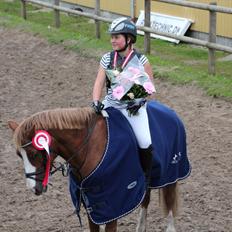 Tysk Sportspony Sultan(Sulle) <3