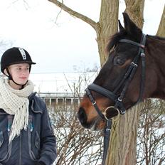 Dansk Varmblod Lineur