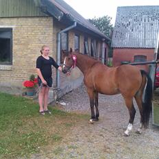 DSP Lynghøjen's Freeway